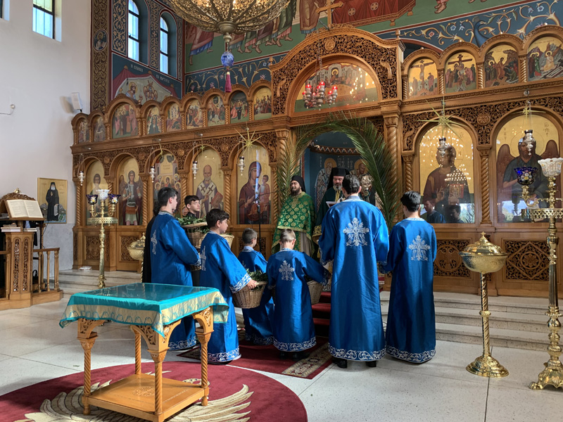 Palm Sunday 2021, St Nicholas Greek Orthodox Church, Marrickville